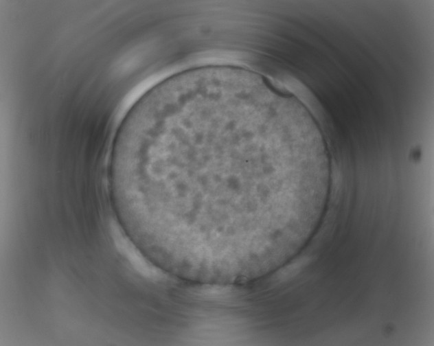 X0000115181052200911251352