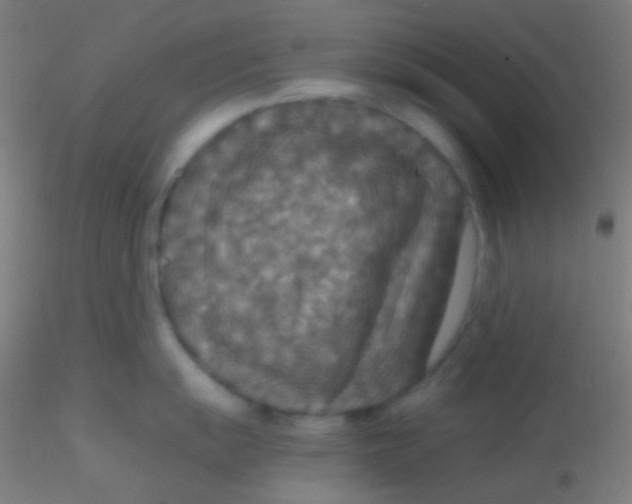 X0000115181055200911251352