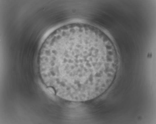 X0000115181056200911251352
