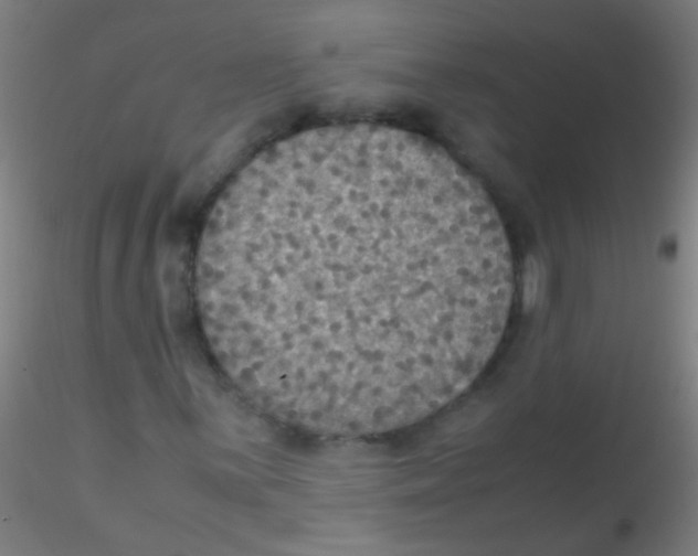 X0000115181059200911251351