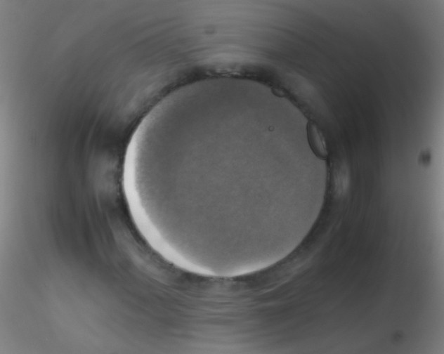 X0000115181060200911251351