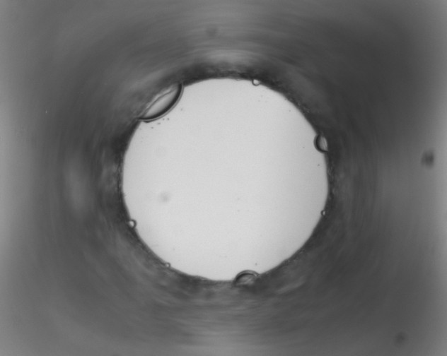 X0000115181061200911251351