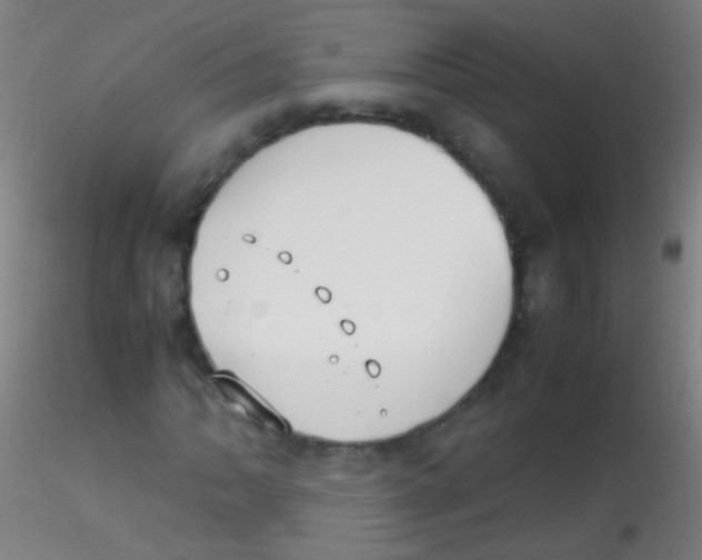 X0000115181062200911251351