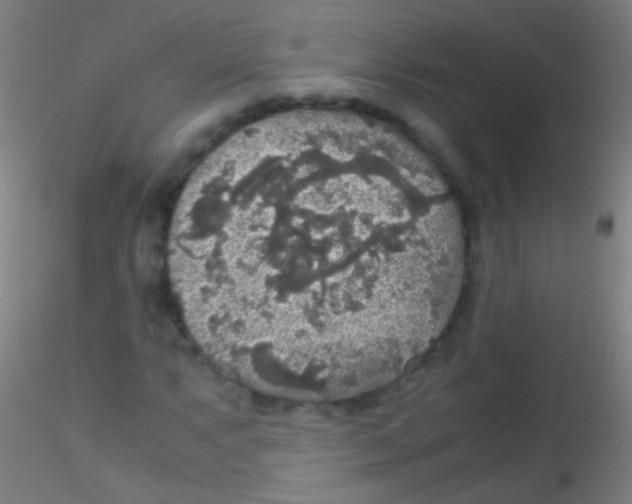 X0000115181063200911251351