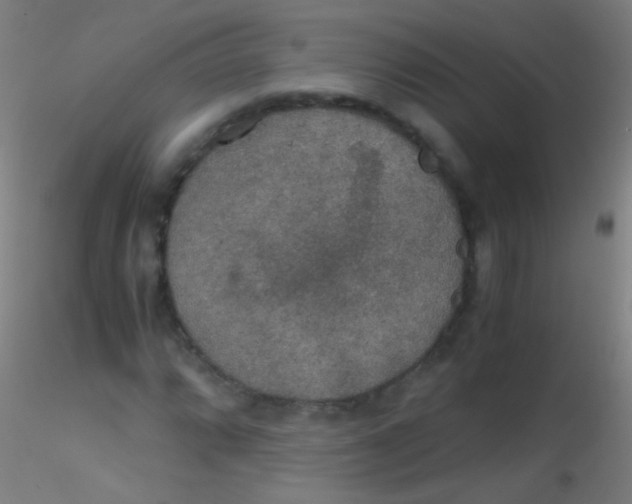 X0000115181064200911251351