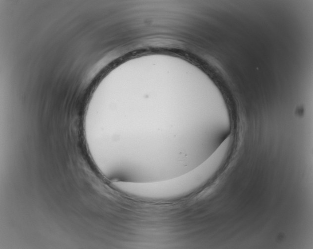 X0000115181065200911251351