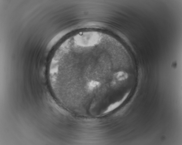 X0000115181066200911251351
