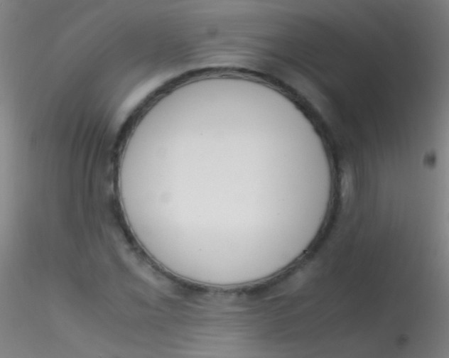 X0000115181069200911251351