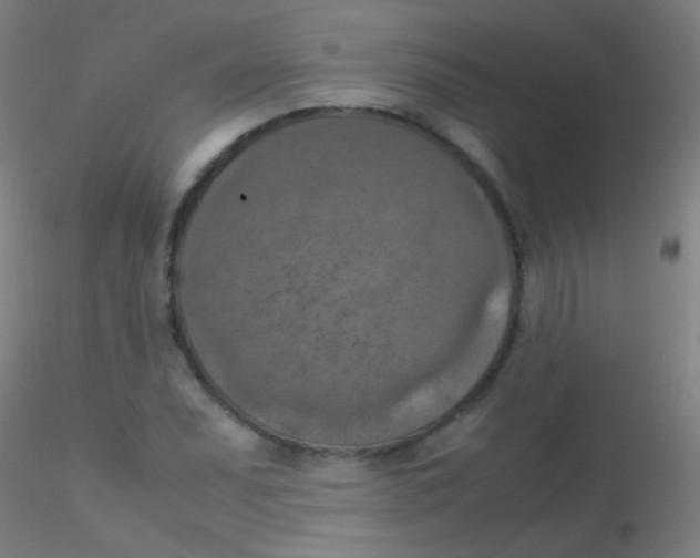 X0000115181071200911251351