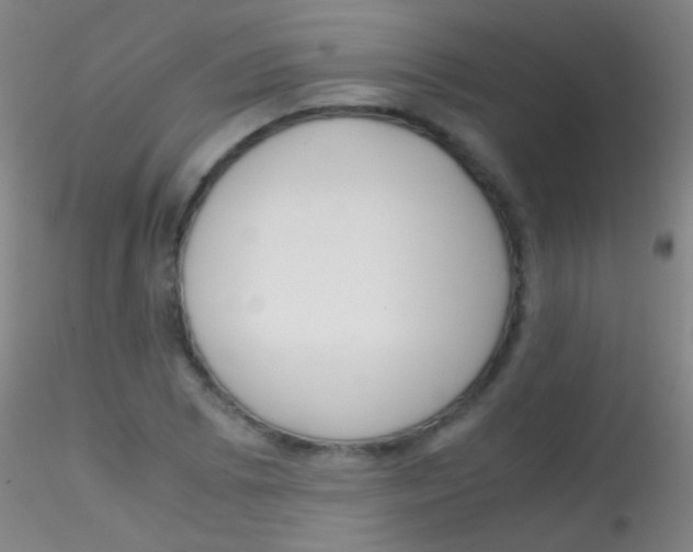 X0000115181073200911251351