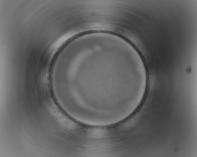X0000115181074200911251351