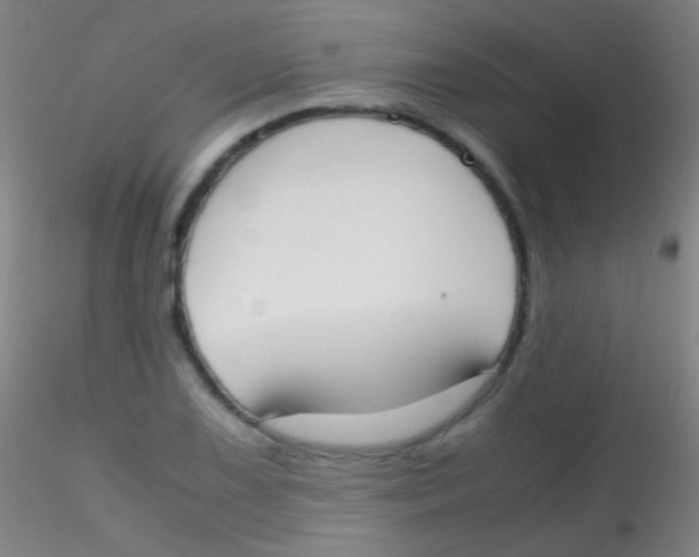 X0000115181075200911251351