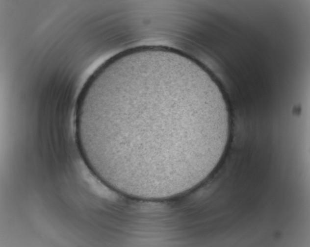 X0000115181076200911251351