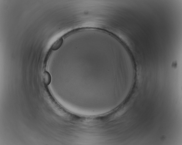 X0000115181077200911251351
