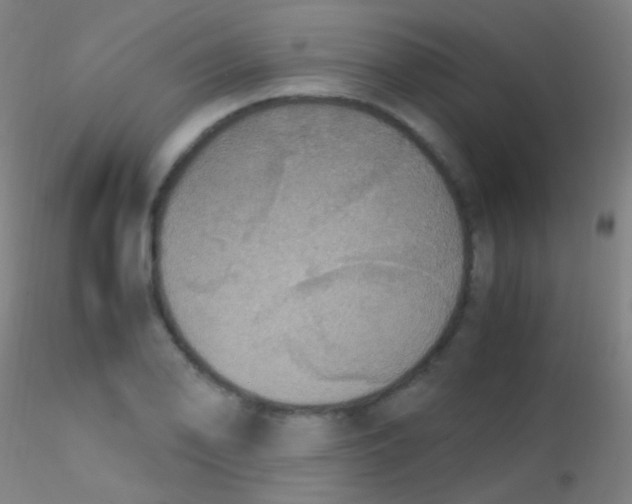 X0000115181078200911251351