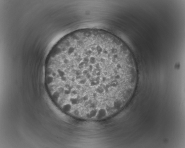 X0000115181079200911251351