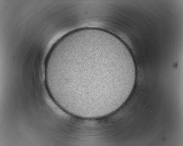 X0000115181080200911251351