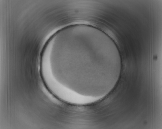 X0000115181084200911251351