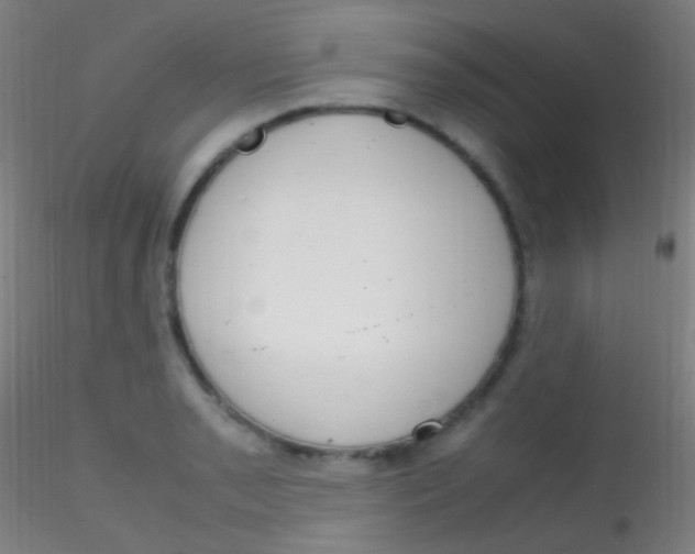 X0000115181085200911251351