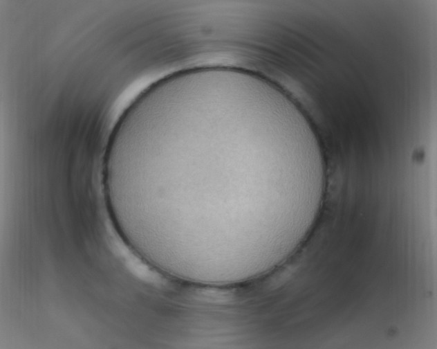 X0000115181086200911251351