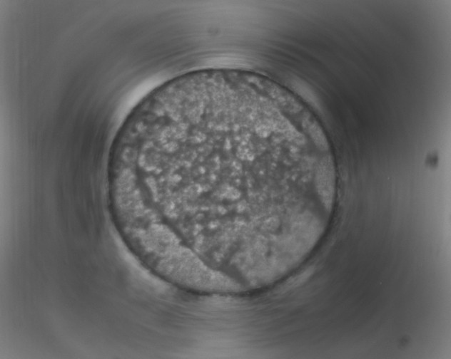 X0000115181087200911251351
