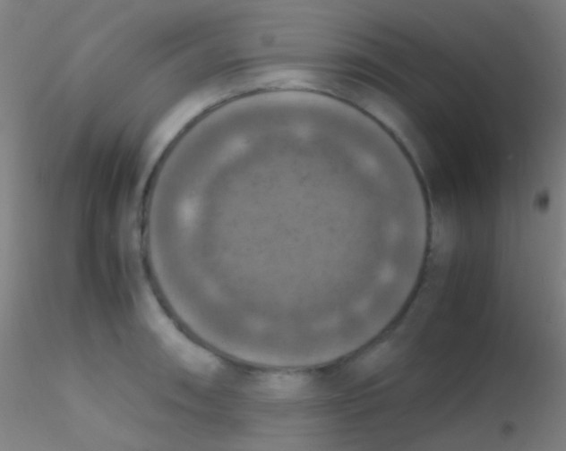 X0000115181090200911251351