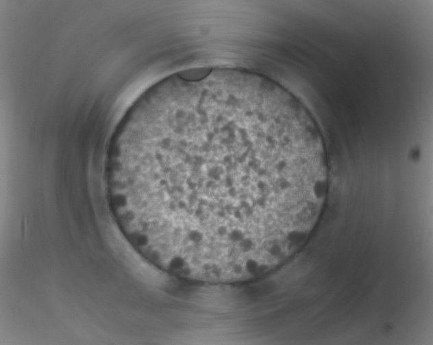 X0000115181091200911251351