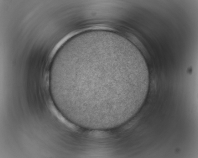 X0000115181092200911251351