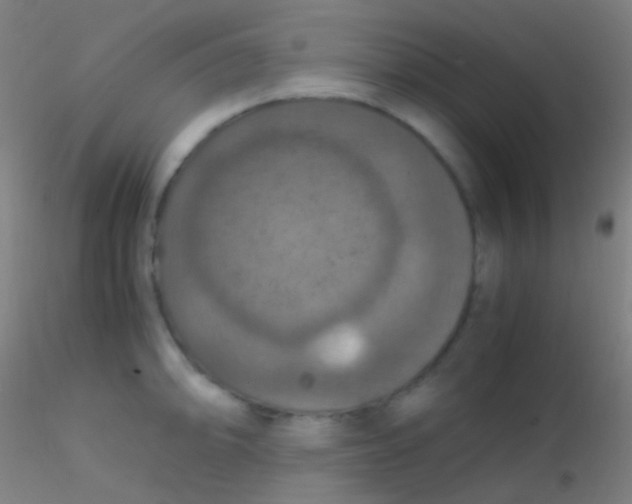 X0000115181094200911251351