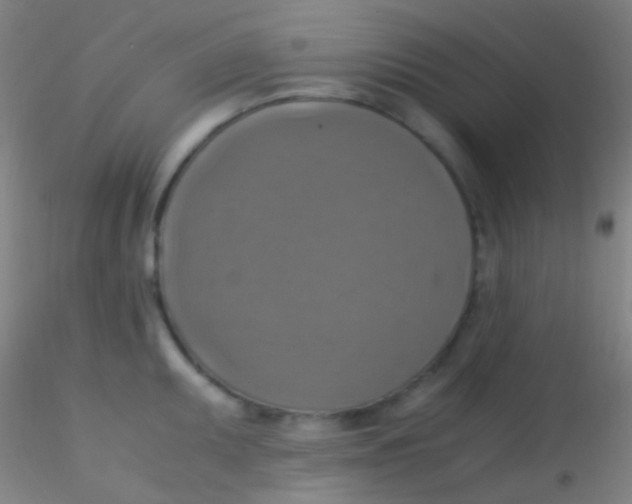 X0000115181095200911251351