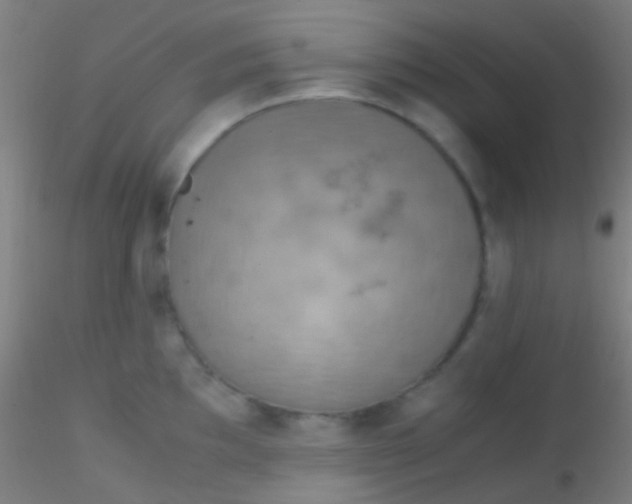X0000115181097200911251351