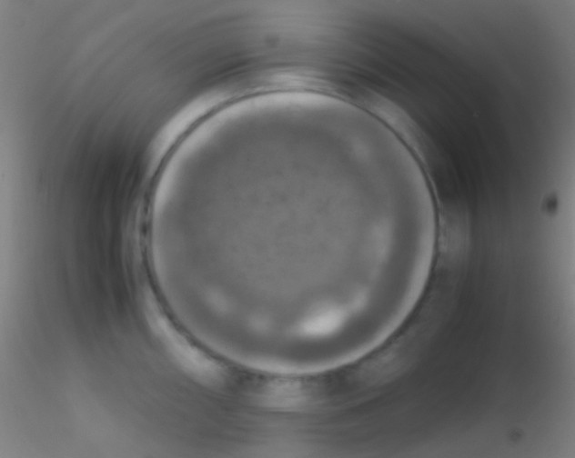 X0000115181098200911251351