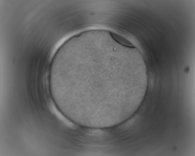 X0000115181100200911251351