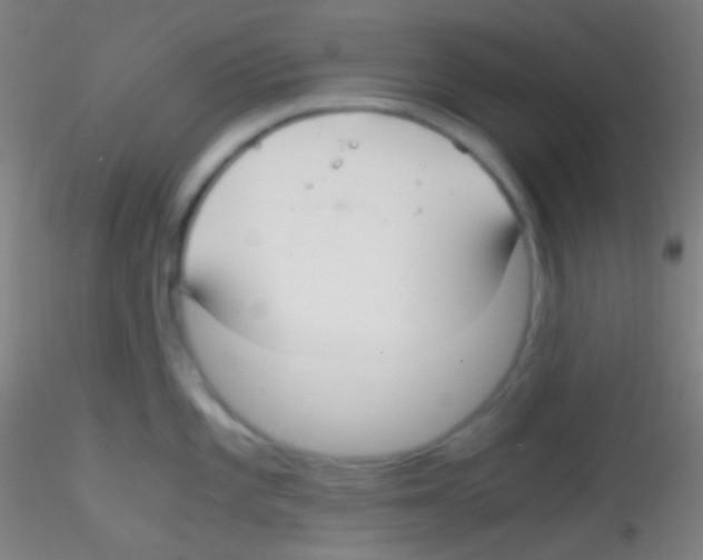 X0000115181101200911251351