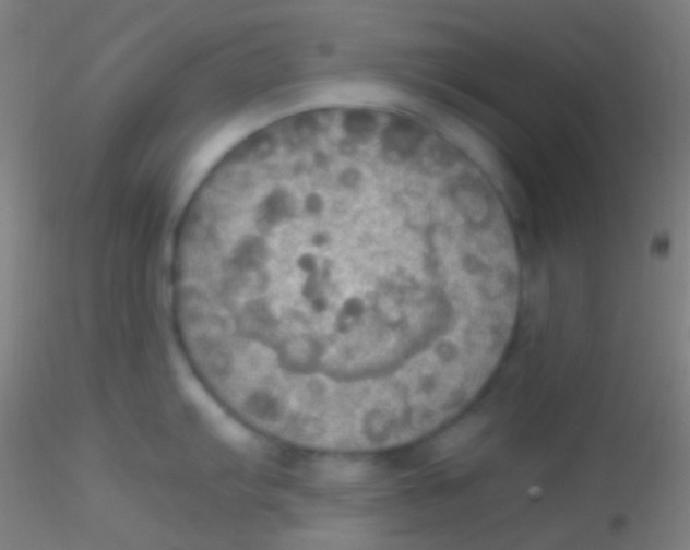 X0000115181103200911251351