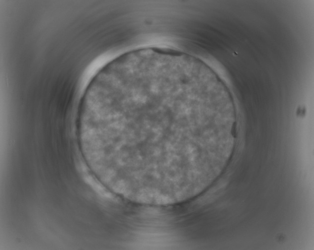 X0000115181104200911251351