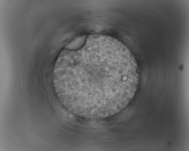 X0000115181105200911251350