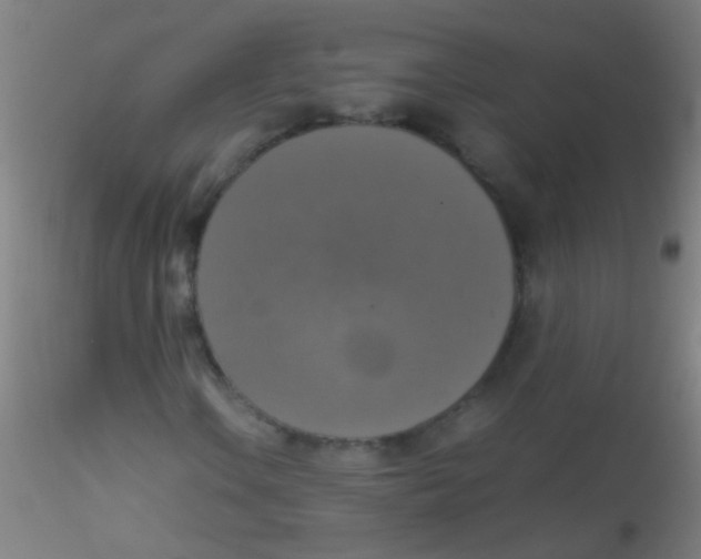 X0000115181106200911251350