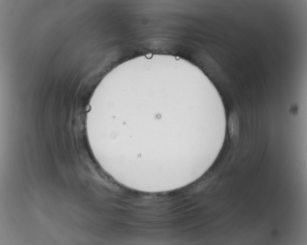 X0000115181107200911251350