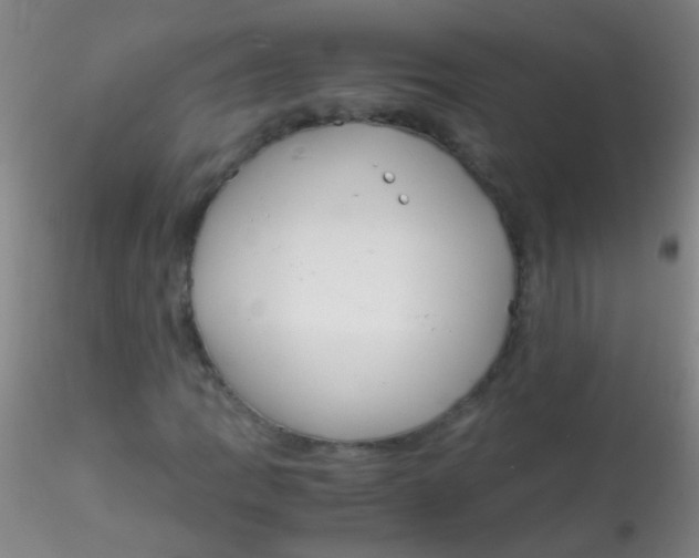 X0000115181109200911251350
