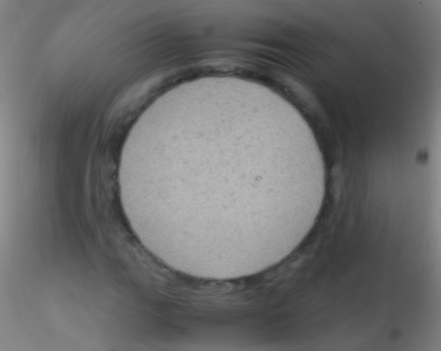 X0000115181111200911251350