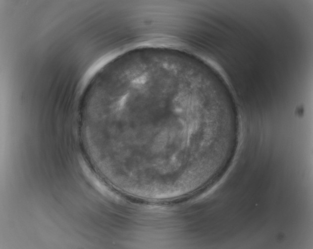 X0000115181114200911251350