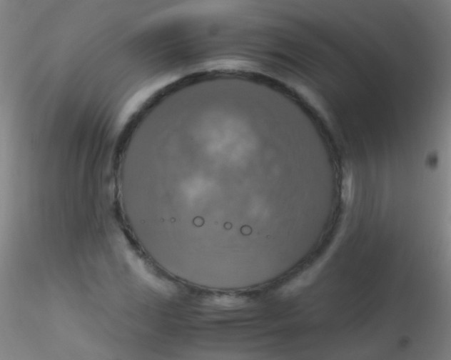 X0000115181117200911251350