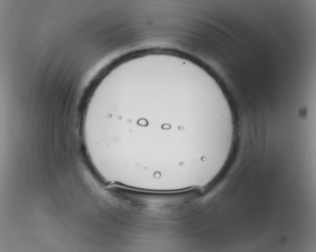 X0000115181118200911251350
