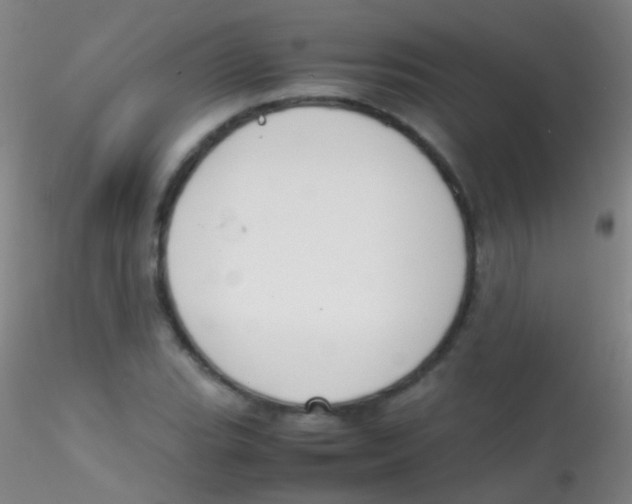 X0000115181119200911251350