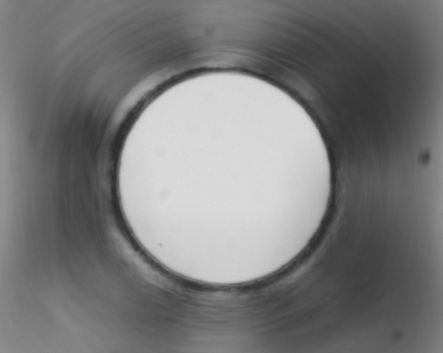 X0000115181122200911251350