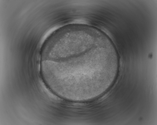 X0000115181123200911251350