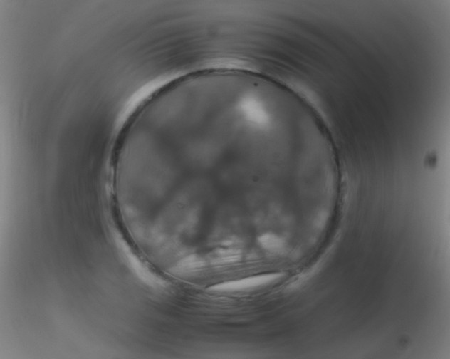 X0000115181125200911251350