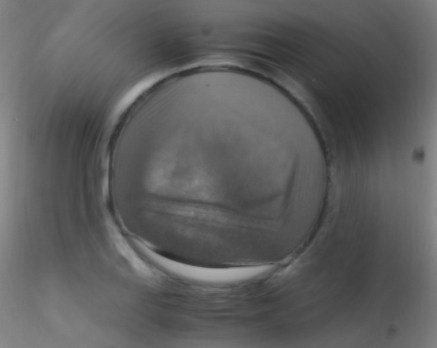 X0000115181127200911251350