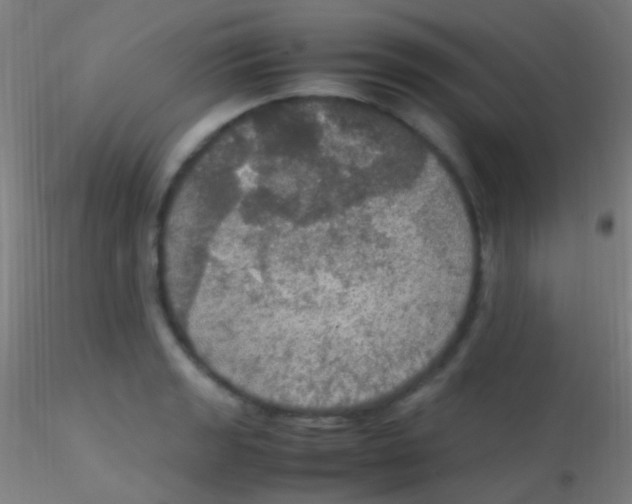 X0000115181133200911251350